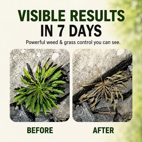 Kill Weeds in 7 Days – Without Harming Your Kids or Pets